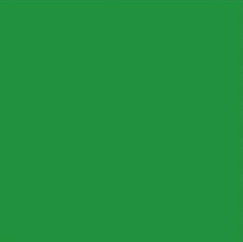 Trafik zelena pastozna boja sl. RAL 6024