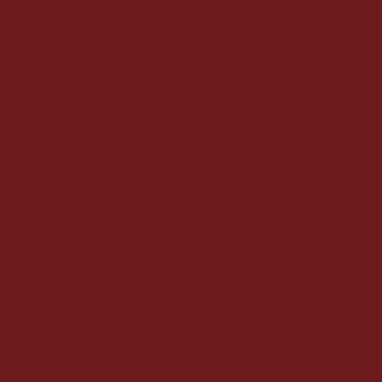 Vino crvena pastozna boja sl. RAL 3005